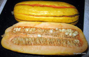 delicata1