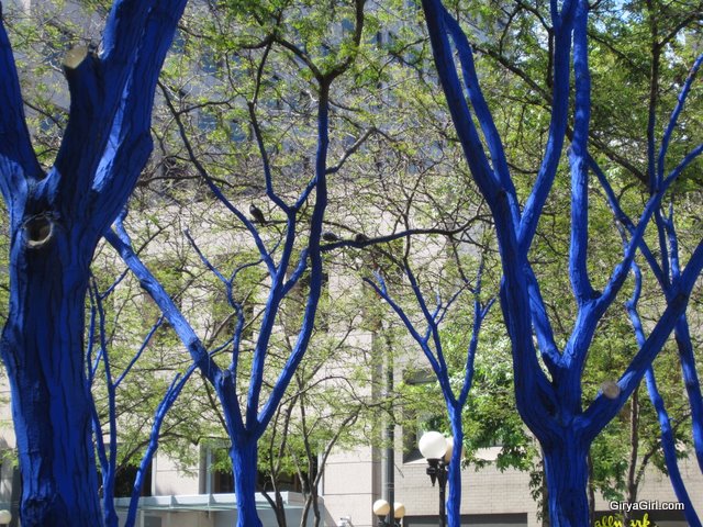 blue trees in downtown Seattle