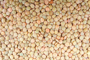 dried green lentils