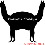 Pushmi Pullyu Workout