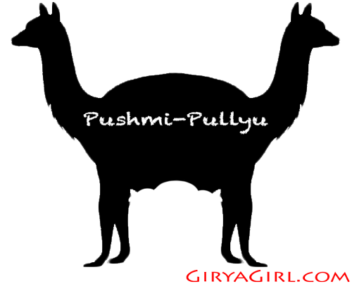 Pushmi-Pullyu Workout for Kettlebells and Bodyweight Exercises |  