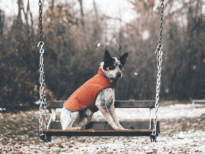 Snow Playground Pre-Holiday Workout