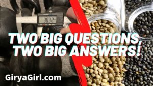 Ask GiryaGirl Answers: lentils in an instant pot and Dragon Door kettlebell handle diameters