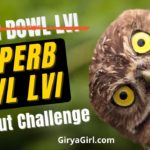 Superb Owl LVI Workout Challenge lead image with photo of inquisitive owl