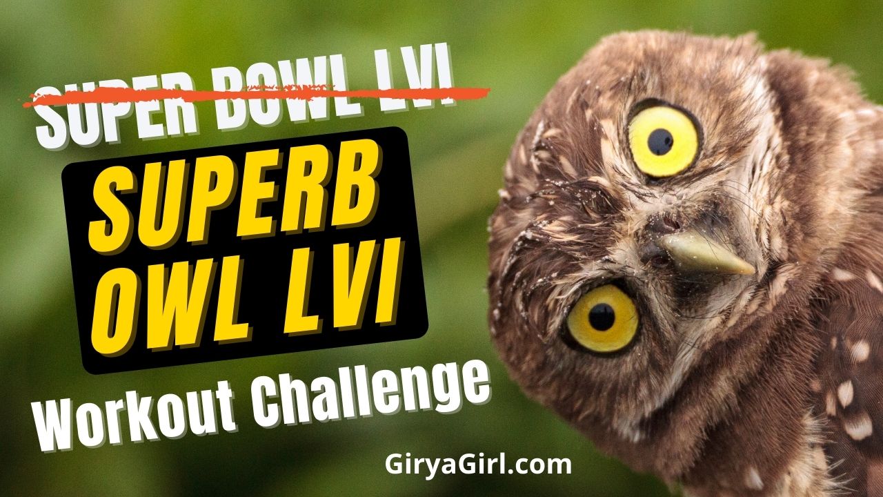 Superb Owl LVI Workout Challenge lead image with photo of inquisitive owl