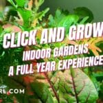 Click and Grow Indoor Garden Full Year Experience Blog Post