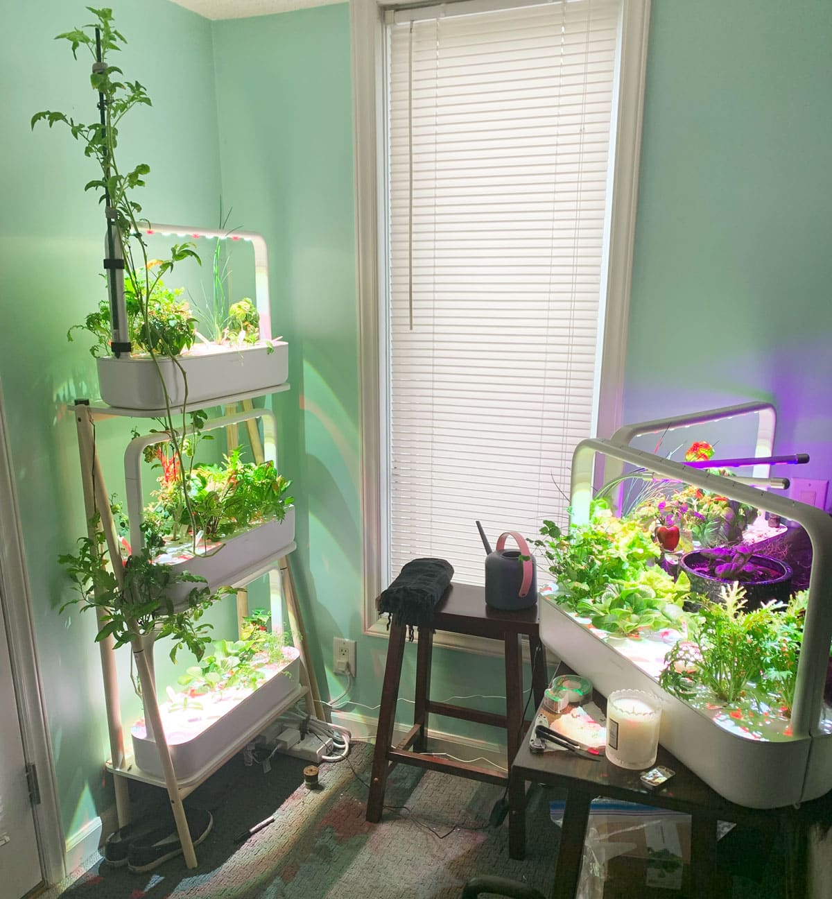The Home Office Indoor Garden Corner with 5 Click and Grow Smart Gardens