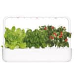 Click and Grow Smart Garden 9 growing lettuce, basil, and cherry tomatoes