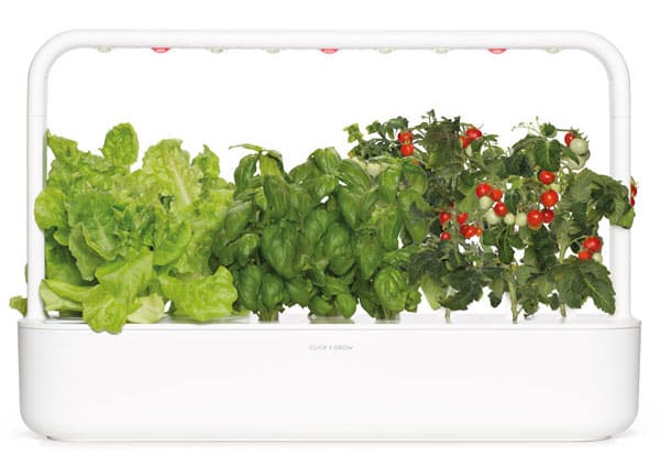 Click and Grow Smart Garden 9 growing lettuce, basil, tomatoes