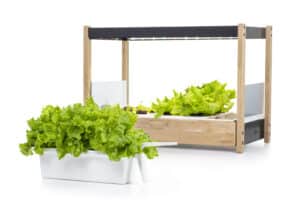 Click and Grow 25 - with modular 5 week growing cycle